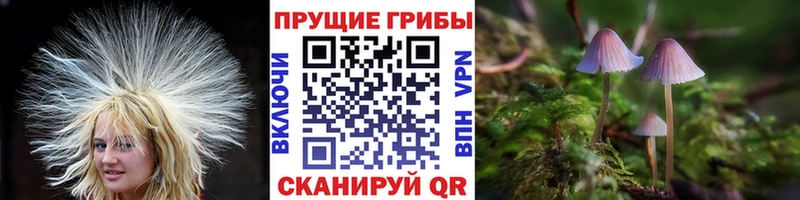 Галлюциногенные грибы ЛСД  купить наркотик  Алейск 